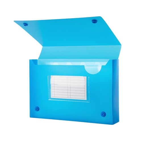 Filexec 5 x 8 Inch Index Case, Snap Button Closure, 5 Index Dividers, Assorted (Pack of 6) (50101-2091)
