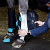 Masta Ice Therapy Horse Boots