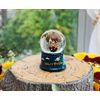 Silver Buffalo Harry Potter Chibi Castle Light Up Snow Globe, 55 mm