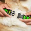 Plastic Clip Collar - EAT Sleep Rave Repeat Black Multi Neon - Wide-Medium 16-23"