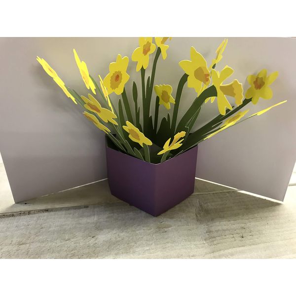 FLOWER VASES: POP-UP CARD DAFFODILS