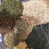 MEMORY TEA with Reishi Mushroom for better focus & memory by master herbalist