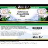 Bianca Rosa Echinacea Angustifolia Root Cream (2 oz, ZIN: 523973)
