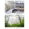 Waldzauber DIN A4 Calendar for 2022 Forest - Soul Magic