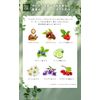 Epis EPIS Shampoo 15.2 fl oz (450 ml), Organic Dense Foam, Citrus Herbal Woody Scent