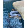 Pool Skimmer Shield Protective Spring Action Net System Leaf Protection 