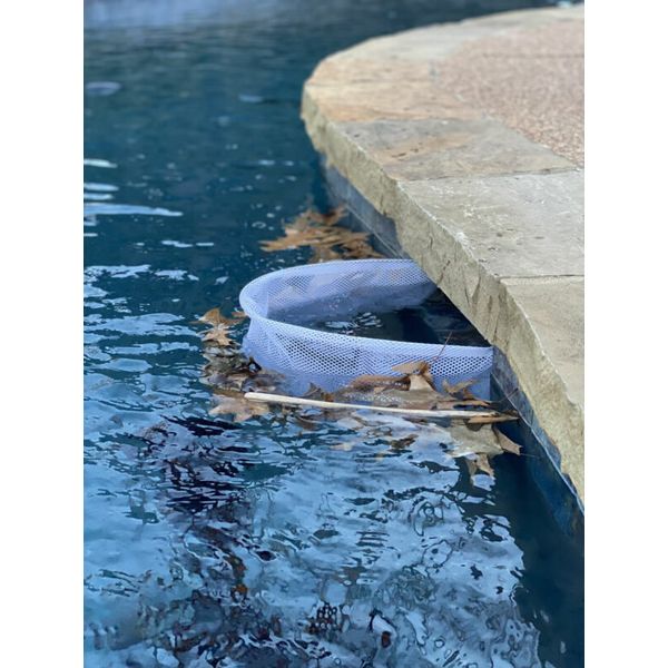 Pool Skimmer Shield Protective Spring Action Net System Leaf Protection 