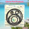 O-Ring Kit For Sta-Rite DynaGlass and Fits J-Series Pump 65047 Replacement.