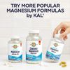 KAL Mega Mineral Supplement 120 Count Vegetarian Magnesium Chelated Tablets