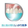 Polydent Dental Lab Medicated Toothpaste, Quasi-Drug, Periodontal Disease (Gingivitis, Pyorrhea), Prevention, 3.5 oz (100 g)