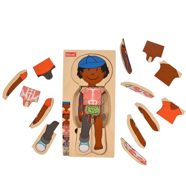 Kidzlane African American Boy Wooden My Body Puzzle for Toddlers and Kids - 29 Piece Girls Anatomy Puzzle Kid Play Set - Anatomy for Kids, Skeleton Toys for Kids Ages 3 Plus