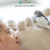 aviantecnic Vitamin A Liquid Avianvet 100 ml