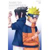 NARUTO-ナルト- 疾風伝 特別編 宿命の二人【通常版】 [DVD]
