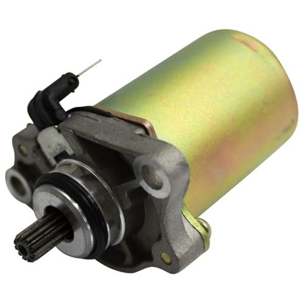PFP Motorcycle Cell Motor Gyro Canopy