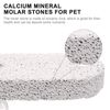2 Pcs Pet Teeth Grinding Stone Mineral Stone for Mouse Rabbit Squirrel Hamster Small Pets