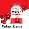 Vision Support Capsules, Max Strength Supplement, Vision Support Pills  (1 Pack)