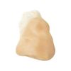 Boxer Nose Boxer Latex Part Face Part Nose