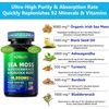 Sea Moss Bladderwrack & Burdock Root 120 Caps ~ Exp 7/27