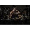 amino acids complex - MAXAMINO PLUS COMPLEX 1200mg - pre workout pills - 90 Tabs