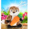 PLUSH CARROT - SUPER SOFT PLUSH - FOX