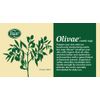 Olivae Castile Bar Soap, 3 Bar Set