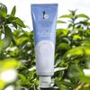 Oral Care System Vegan Plant-Based Toothpaste Mint Flavor