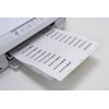 e-wan File Back Label 190x14 mm13 Surface 31427 00379392 [Bulk 3 Pack Set]