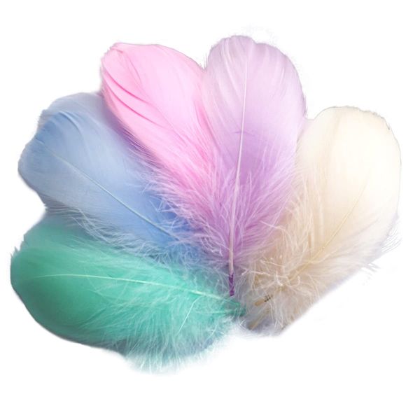 Samcos Feather Shower, Feather Shower, Phantom Macaron Feathers, 200 Pieces, Plenty of Feathers, Plenty of Feathers, Craft Materials, Decorative Feathers, DIY Decorative Accessories, Weddings, Events,