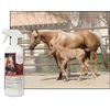 UltraCruz® Equine Misting Conditioner, 32 oz