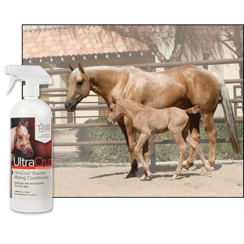 UltraCruz® Equine Misting Conditioner, 32 oz