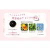 Missha M Cushion Foundation (Pro Cover), Official Online Shop Limited Packaging, No.23, Natural Skin Color