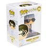 Funko 34424 Pop! Harry PotterHarry Potter in Pjs, Standard, Multicolor