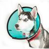 MDC Smart Collar Size 2 Medium (Neck 23-30cm)-Assortment