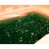 Kids Dino Bombs Dinosaur Bath Bombs - Fun XL Bathbombs for Kids - 5 Ounces Each - Kids Bath Fizzers - Turns Kids Bath Water Murky Green - 2 Pack