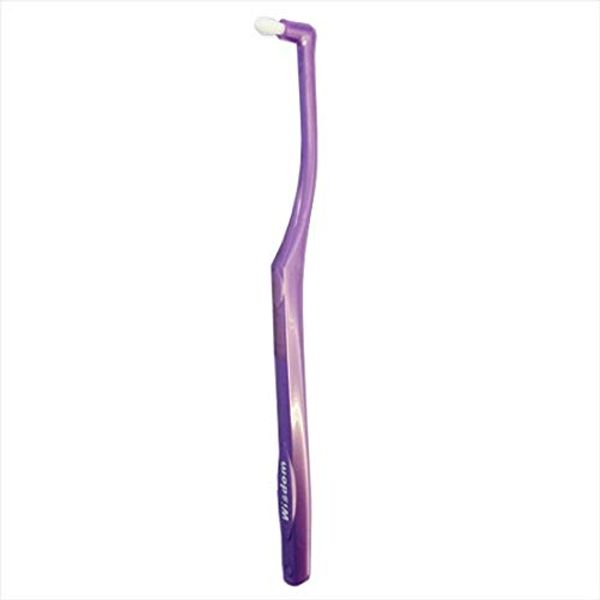 Wisdom Interdental Products Interspace by Wisdom