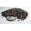 25 Seed Embedded Recycled Lotka Printer Paper