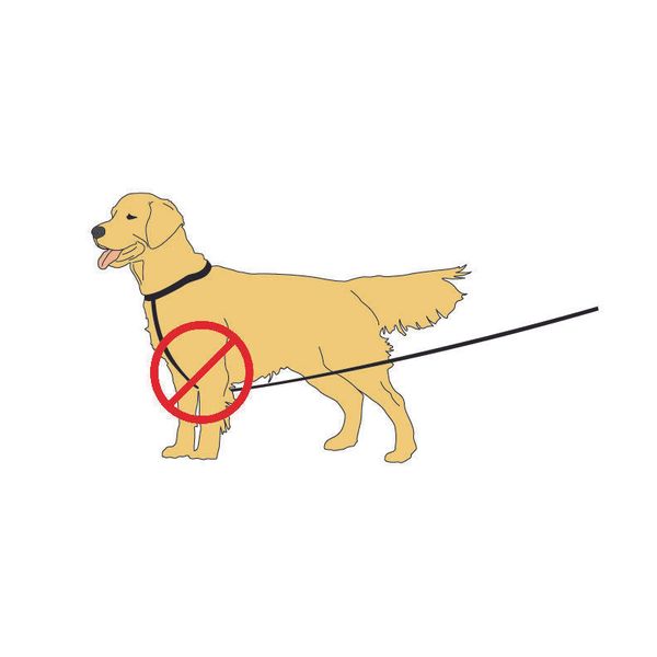 LEASH ALI,  Keeps your pet leash tight so your pet does not get tangled in it.