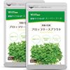 Seed Coms Broccoli Sprout Supplement, Sulforaphane, 360 Capsules, Approximately 6 Months Work,