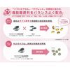 Kyoritsu Pharmaceutical Moegitab (Tablet), 100 Capsules/Box (10 Tablets x 10 Sheets)