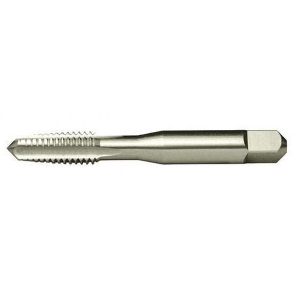 Tap, 1/4"-20 Thread Size, HSS, Bright (2 Pieces)