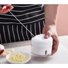 Manual Mini Household Hand-pull Garlic Crusher