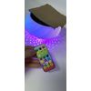 Solar Pool Chlorine Floater Dispenser   Colorful Light w/Remote Control & Timer