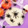Augshy Plastic Spiders