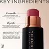 Youngblood VividLuxe Crème Blush Stick, Bellini