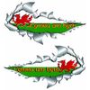 Large Size Welsh Cymru Am Byth Flag Metal Rip Open Sticker
