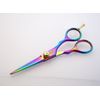 Professional Hairdressing Scissors 5.5 inch, Titanium Hair Scissors, CASE