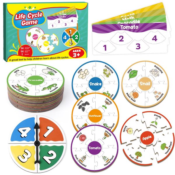 Edulok Life Cycle Toys for Kids, Toddler Puzzles, Preschool Toys, Science Kits for Kids 3-5, Kindergarten Learning Activities, Learning Education Toys, PreK Classroom Essentials, Homeschool Supplies