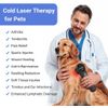 LLLT Class 4 Laser Therapy Device 1760mW CW/PW Mode for Chronic Pain Relief Pets
