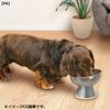 Doggyman Stainless Steel Tableware for Dogs (M Dog Tableware)