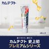 Kamtec Premium Whitening Toothpaste, Prevents Periodontal Disease (Gingivitis, Pyorrhea), 3.2 oz (95 g) + Toothbrush Included
